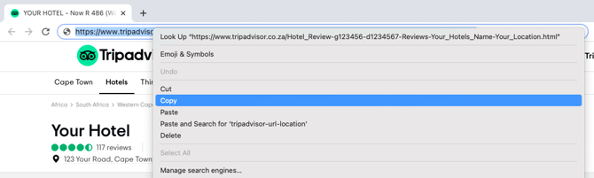 tripadvisor-url-copy